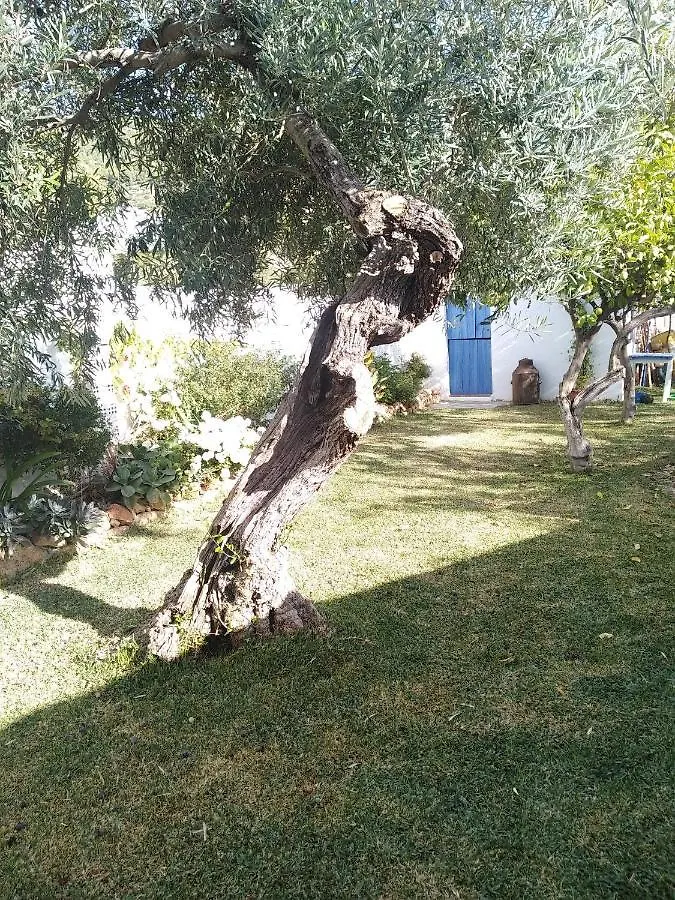 Villa Pitillas Algodonales 0*,